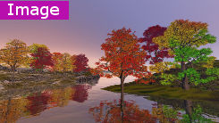 Beautiful nature